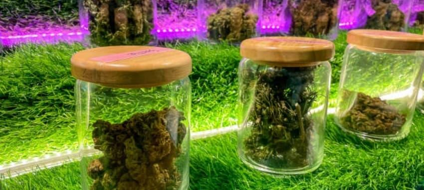 Innovative e-dym Liquids e Zigarette Inhaltsstoffe entdecken und e-dym Vorteile erleben